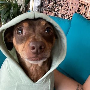 Meet your Posher, Cody